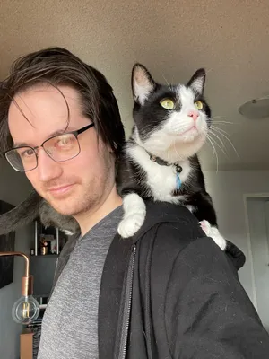 Wide-eyed tuxedo cat on a person's shoulder